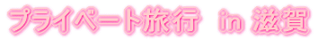 vCx[gꗷs 